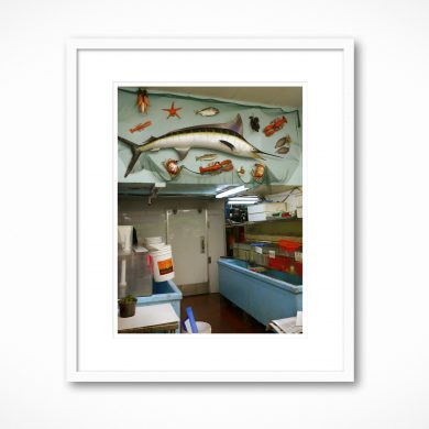 Fish Shop Interior 1